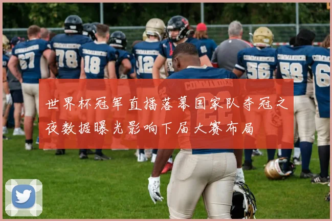 世界杯冠军直播落幕国家队夺冠之夜数据曝光影响下届大赛布局