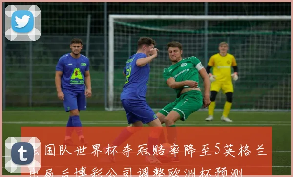 法国队世界杯夺冠赔率降至5英格兰出局后博彩公司调整欧洲杯预测