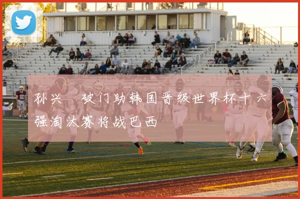 孙兴慜破门助韩国晋级世界杯十六强淘汰赛将战巴西