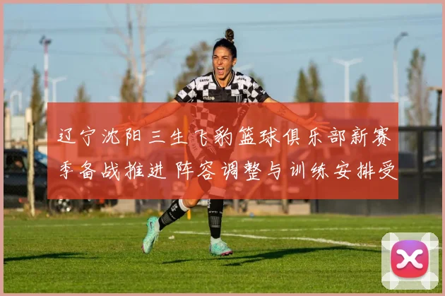 辽宁沈阳三生飞豹篮球俱乐部新赛季备战推进 阵容调整与训练安排受关注