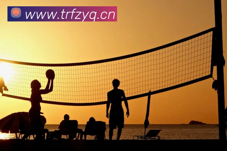 开云手机登录官网平台生态图