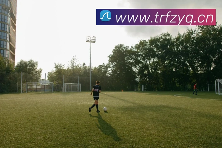 辅助工具 辅助工具